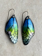 Load image into Gallery viewer, Blue wing earrings
