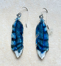 Load image into Gallery viewer, Blue Jay feather earrings
