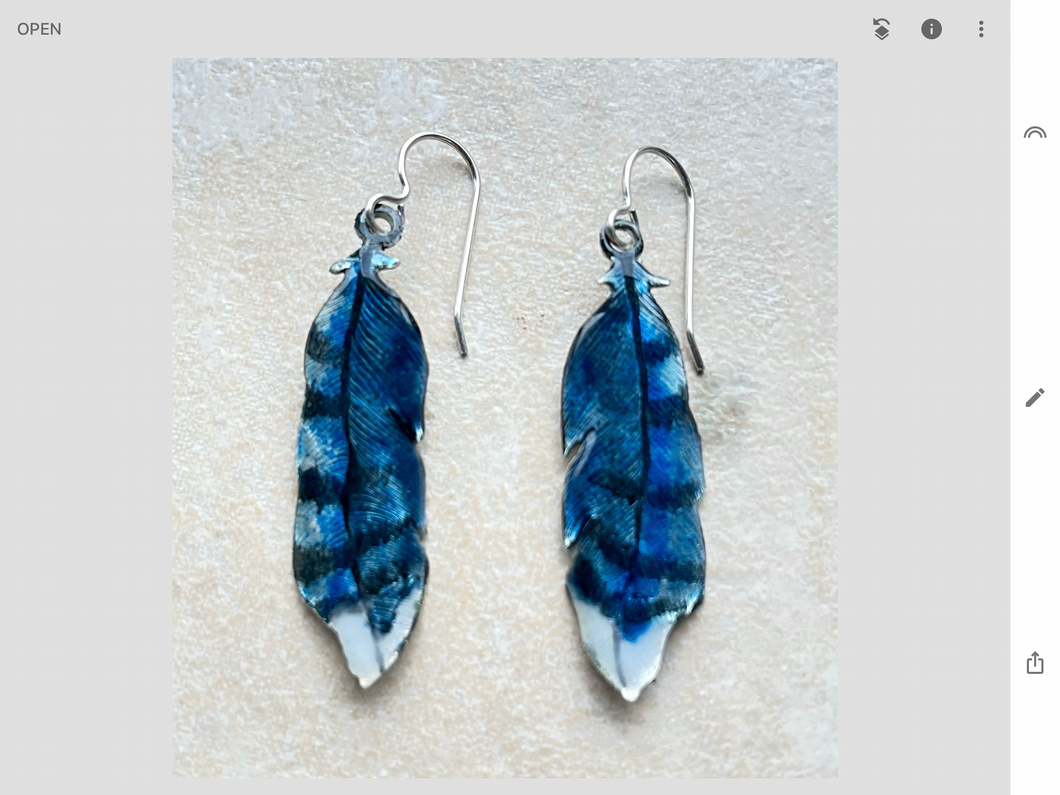 Blue Jay feather earrings